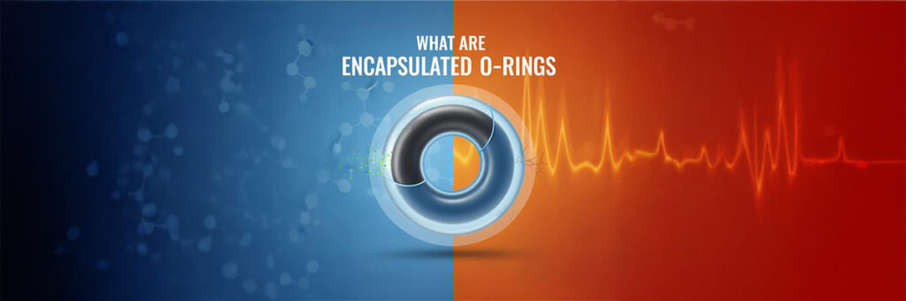 Encapsulated O-rings