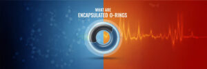 Encapsulated O-rings