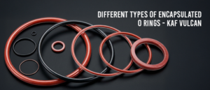 Encapsulated o-rings
